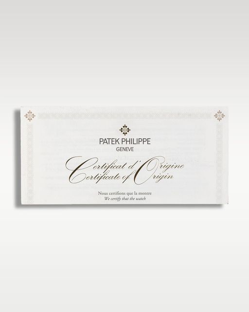 Patek Philippe Complications 5905P-010 Image 5